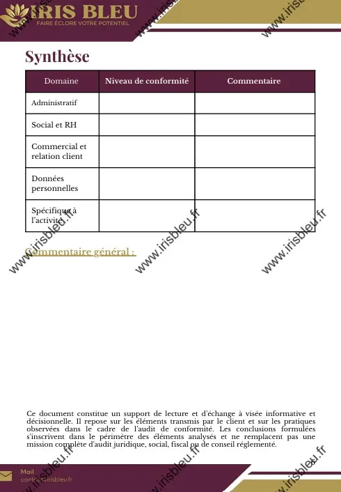 DIAGNOSTIC CONFORMITE SYNTHESE.webp