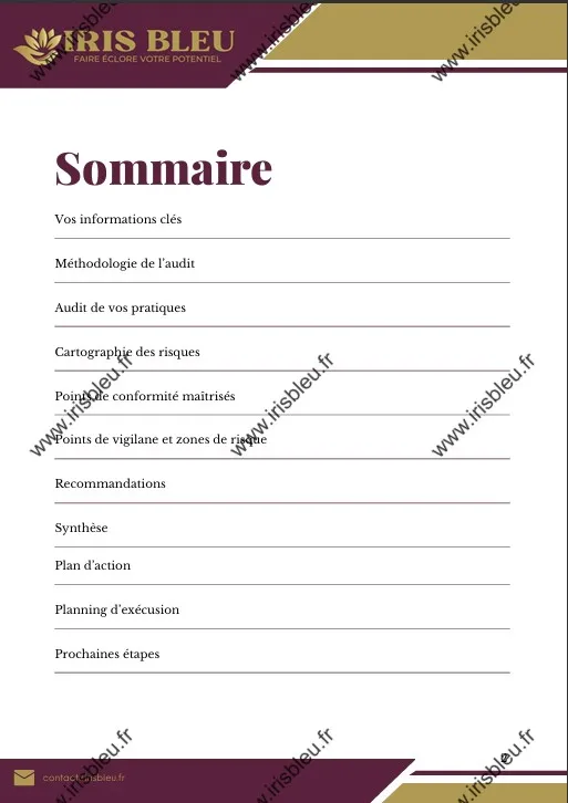 DIAGNOSTIC CONFORMITE SOMMAIRE.webp